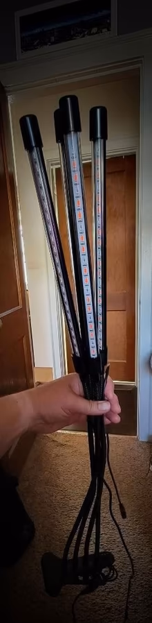 Photo of free Working Houseplant Light (Oregon Acres in Portsmouth) #1