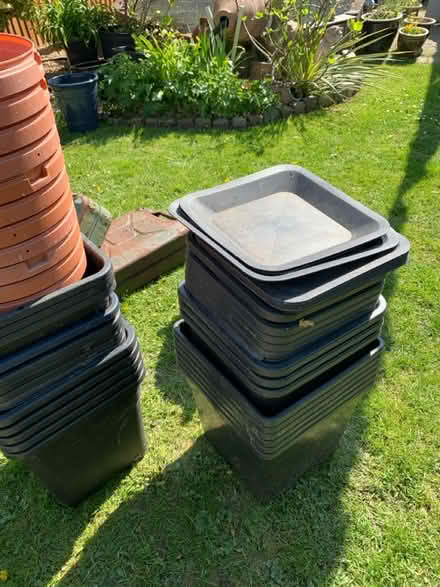 Photo of free Large garden pots (Sutton valence ME17) #2