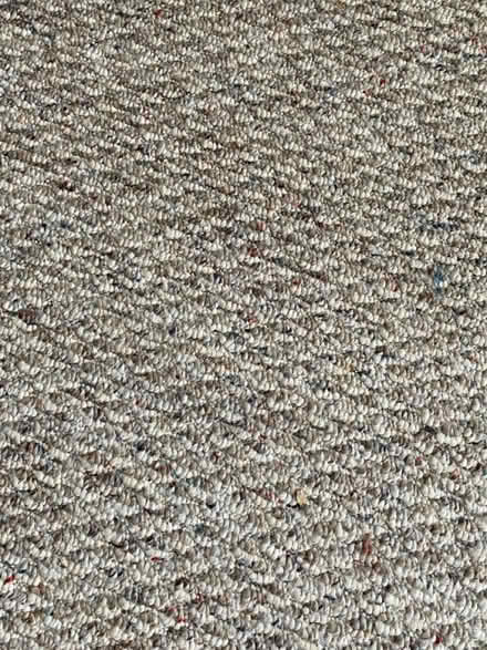 Photo of free Rug 15x12 neutral w/pad (1 mile from mall) #1