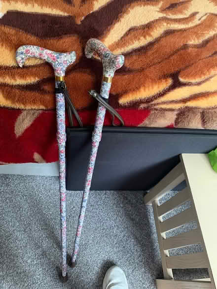 Photo of free Walking sticks (Poole BH12) #1