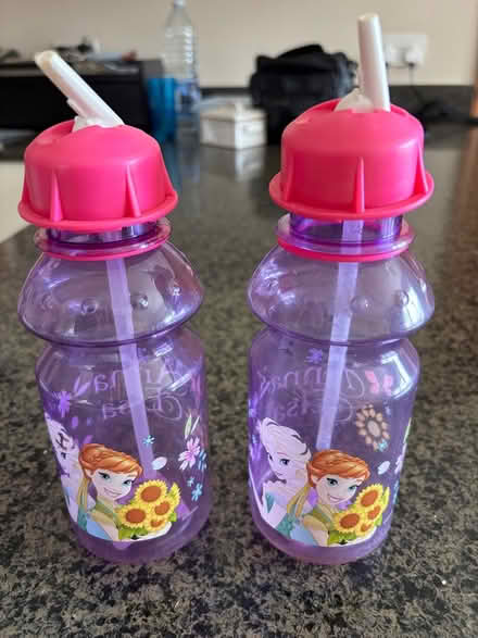 Photo of free Drinking bottles (Basildon SS16) #1