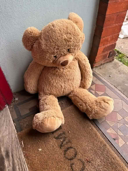 Photo of free Giant Teddy Bear (Hemel Hempstead, HP2 area) #1