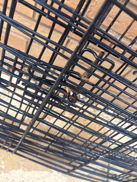 Photo of free XL dog crate (Cb23 7) #2