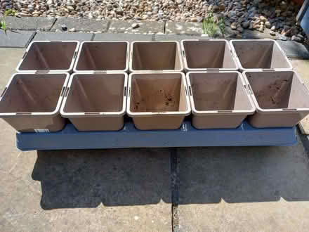 Photo of free Plastic pots and a tray with matching pots (Claybrooke Parva LE17) #2