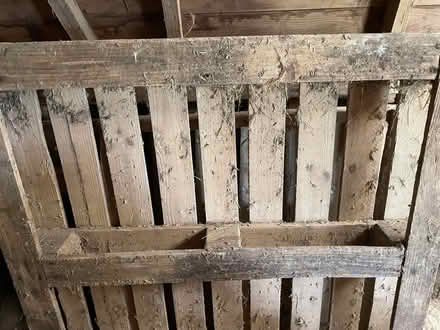 Photo of free Wooden pallets x5 (Marksbury) #1