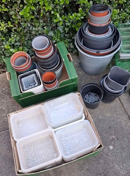 Photo of free Plant pots various sizes (Kimberley NG16) #1