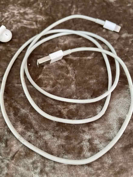 Photo of free iPhone ear phones + IPad charger cable (Furzton MK4) #3