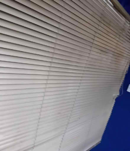 Photo of free Gold metallic venetian blind (Coulby Newham TS8) #4