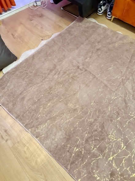 Photo of free 1 light rug (SE1) #1