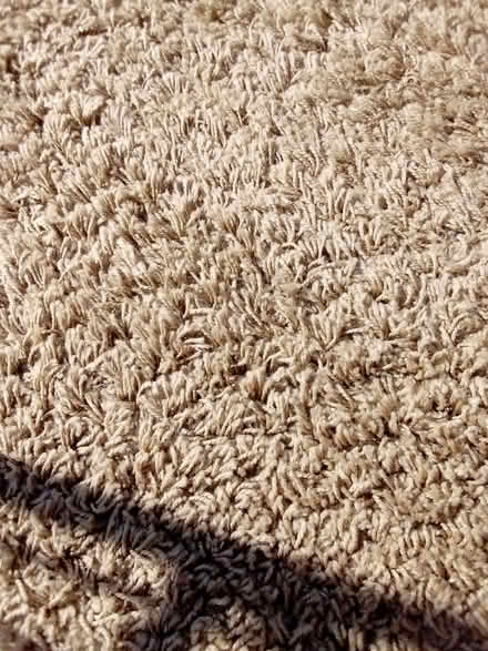 Photo of free Medium size rug beige (Fearnhead WA2) #2