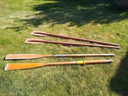 Photo of free Oars/paddles (Emsworth PO10) #1