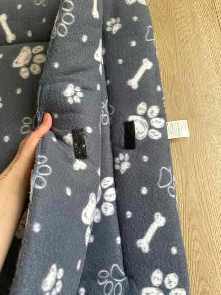 Photo of free Dog bed (Leyton) #3
