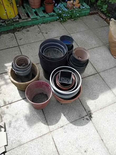 Photo of free Plastic flower pots (BH2) #1