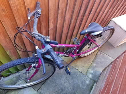 Photo of free Girl's bike (Hereford, Belmont) #3