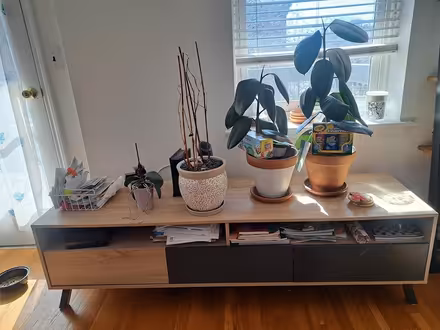 Photo of free TV stand and drawers (Caroll Gardens) #1
