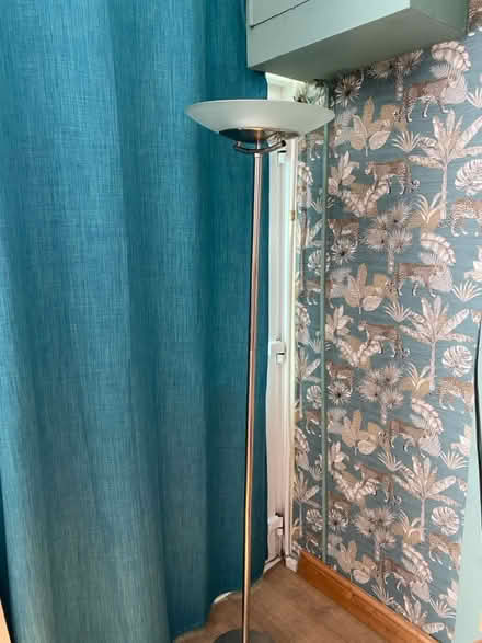 Photo of free Tall standard lamp (Portsmouth PO2) #2