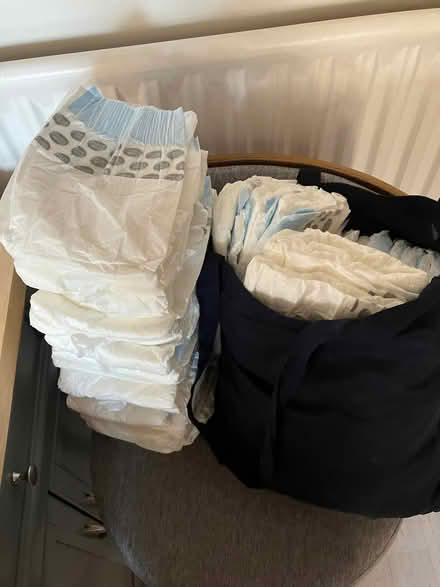 Photo of free Dog Nappies (Hartington SK17) #1