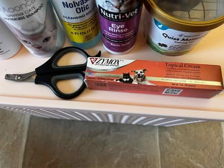 Photo of free Cat care items (Olympia high school) #2