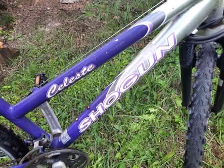 Photo of free Bicycle (Bega) #3