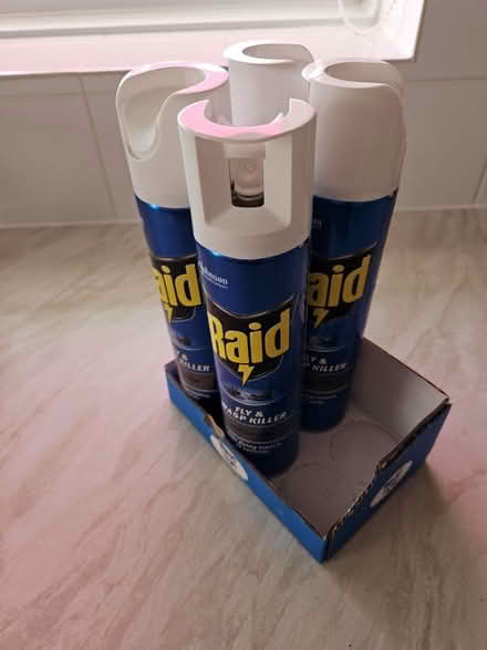 Photo of free Raid wasp and fly killer spray (EX8) #1