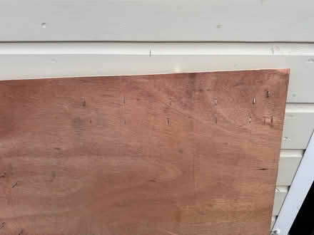 Photo of free 9mm thick ply (Welling DA16) #3