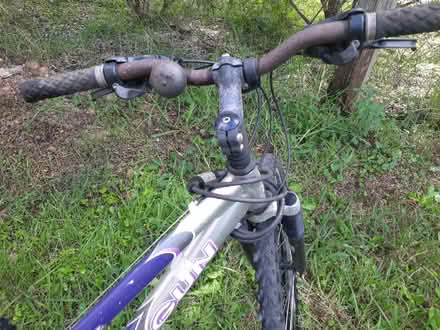 Photo of free Bicycle (Bega) #4