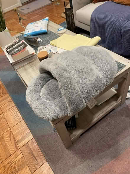 Photo of free Cat slipper bed (South Arlington) #2
