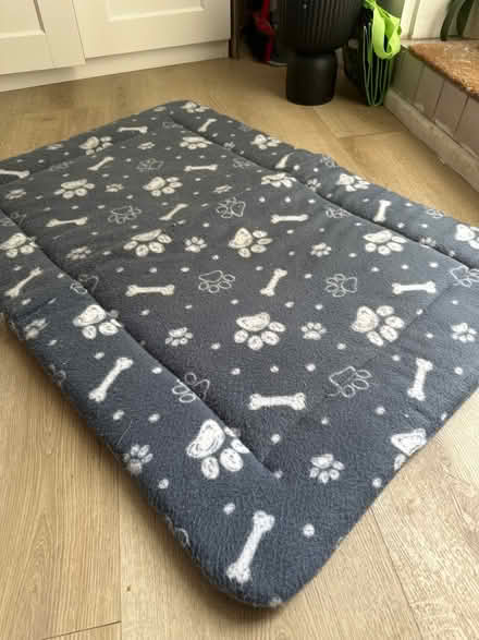 Photo of free Dog bed (Leyton) #2