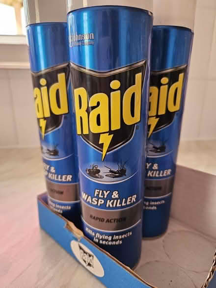 Photo of free Raid wasp and fly killer spray (EX8) #2