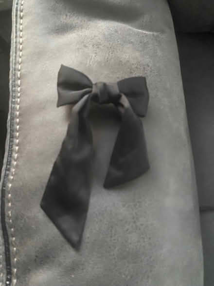 Photo of free Hair clip (Upshire EN9) #1