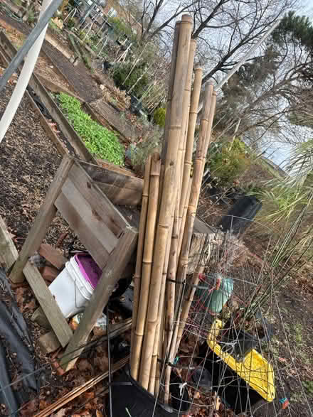 Photo of free 4’ (10) & 6’ (5)bamboo stakes (Ginkgo Gardens (near there)) #2