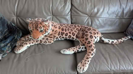 Photo of free Giant leopard/jaguar soft toy (lancing) #1