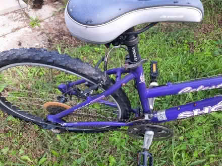 Photo of free Bicycle (Bega) #2