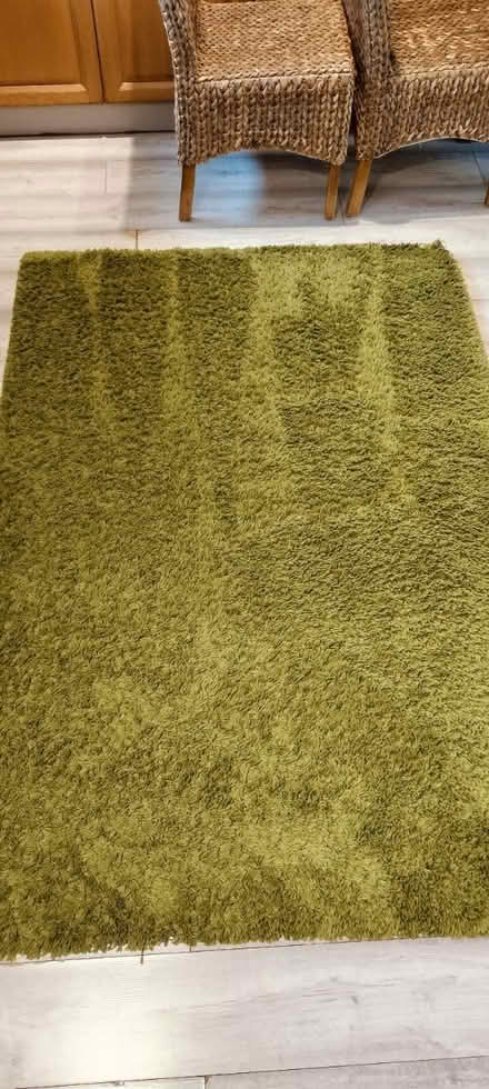 Photo of free Green rug (M217ub) #1