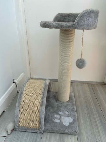 Photo of free Cat scratching post (Rayleigh SS6) #1