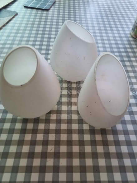 Photo of free Vintage tulip lampshades (New Hinksey OX1) #1