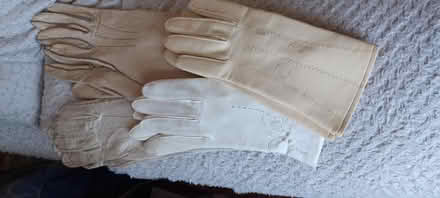 Photo of free Vintage gloves (B63 halesowen) #1