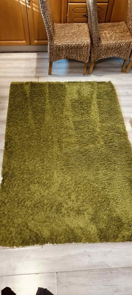 Photo of free Green rug (M217ub) #2