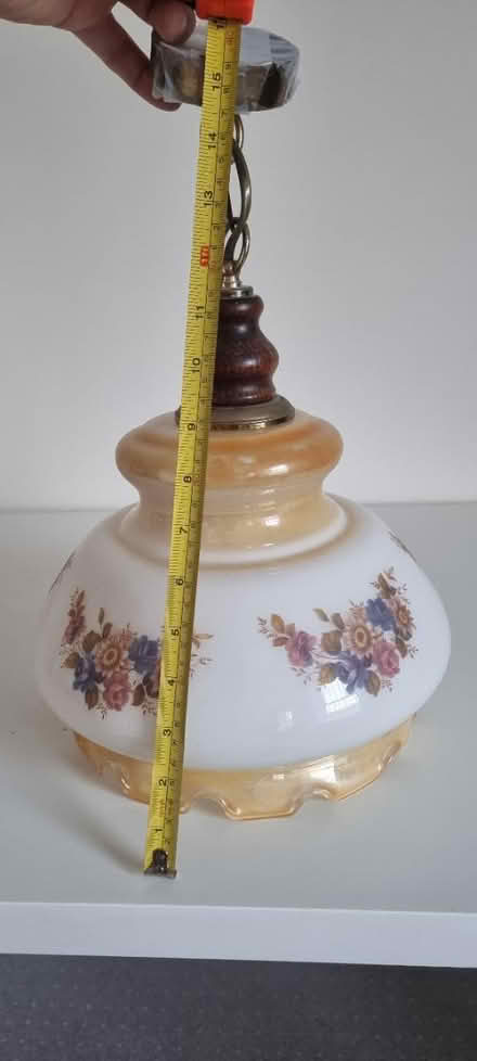 Photo of free Ceiling lamp shade (Bowerdean, HP13) #2