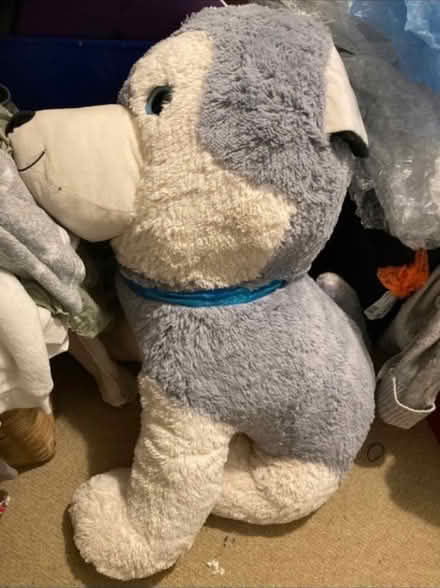 Photo of free Large fluffy dog (SE8 Deptford) #1