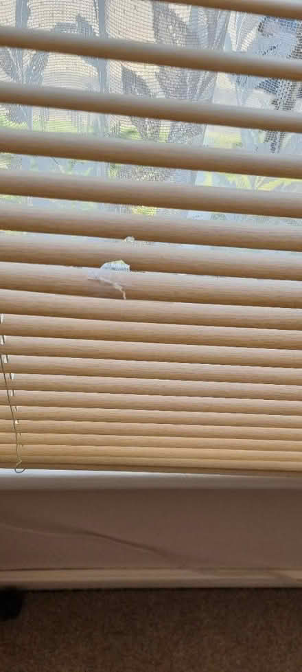 Photo of free Used venetian blinds x2 (Bowerdean, HP13) #3