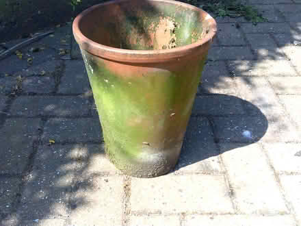 Photo of free Terracotta Pot (Thorpe St Andrew NR7) #1