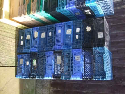 Photo of free 34 Baskets/Trays - Shed/Garden Storage Etc (Heath Hayes WS12) #3