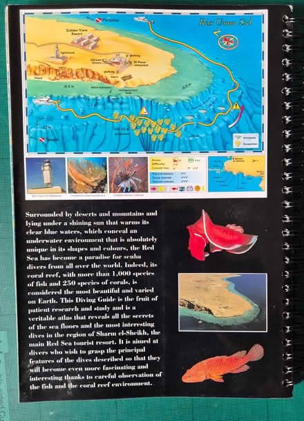Photo of free Sharm el-Sheikh Diving Guide, vgc (SE1) #2