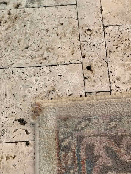 Photo of free Indoor Rug (Tamarac-Pine Island /McNab) #2