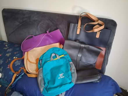 Photo of free Ladies bags (Watton IP25) #2