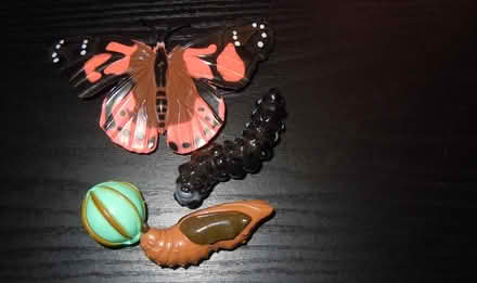 Photo of free Shower Rings, Tummy Trimmer, Bugs (langport) #4