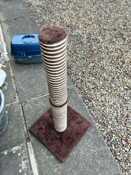 Photo of free cat scratching post (Greetland HX4) #1