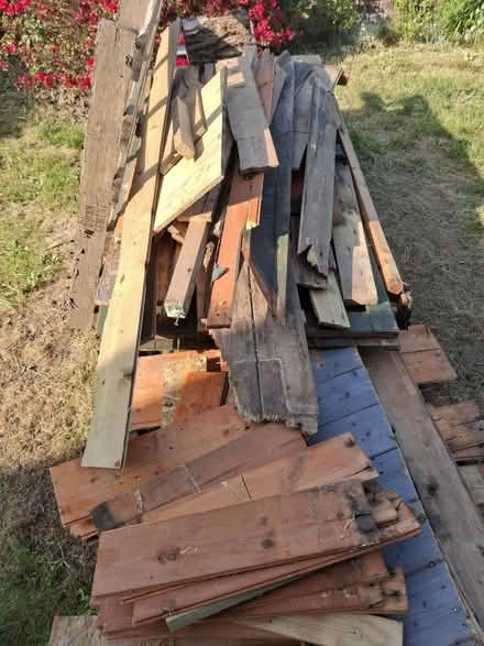 Photo of free Wood (Hastings TN34) #1