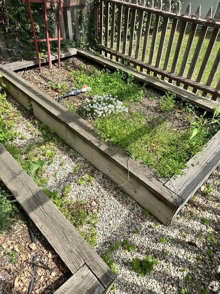 Photo of free raised bed garden cage (Toluca Lake) #4